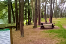 Miejscówka 087 - Ruda  NIEAKTUALNE , leśniczy wygania . - zdjęcie 0