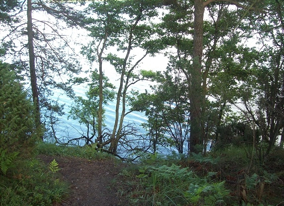 Miejscówka 089 - Lipusz skarpa - zdjęcie 5