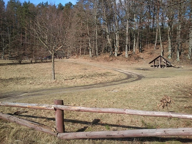 Miejscówka 092 - N.D.Wejherowski - okolica - zdjęcie 8