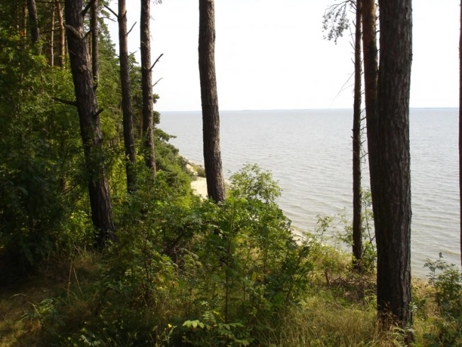 Miejscówka 098 - Piaski II - zdjęcie 3