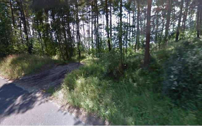 Miejscówka 098 - Piaski II - zdjęcie 2