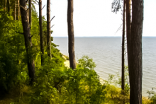 Miejscówka 098 - Piaski II - zdjęcie 0