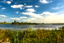 Miejscówka 099 - Michalice - zdjęcie 0