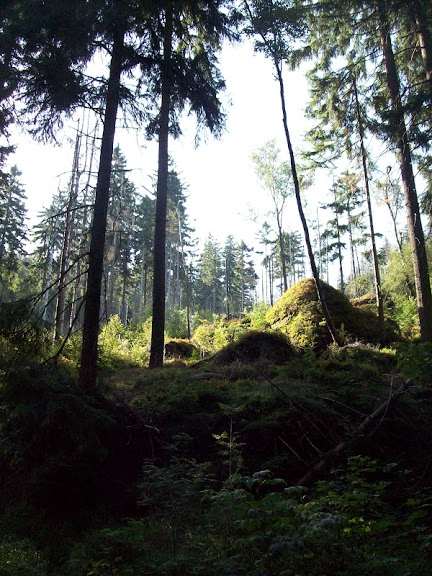 Miejscówka 103 - Schronisko Szczeliniec - zdjęcie 6