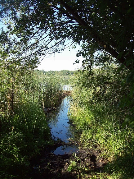 Miejscówka 104 - Miastko - jezioro - zdjęcie 5