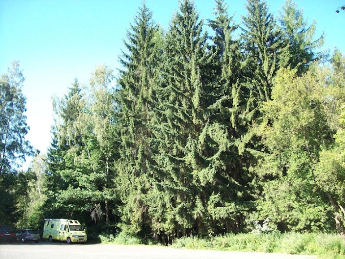 Miejscówka 109a - podziemia Osówka - zdjęcie 5