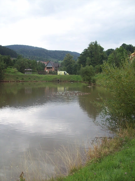 Miejscówka 110 - Pstrążna - stawy - zdjęcie 6