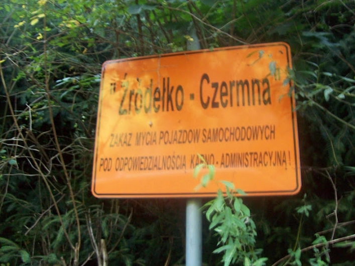 Miejscówka 110 - Pstrążna - stawy - zdjęcie 3