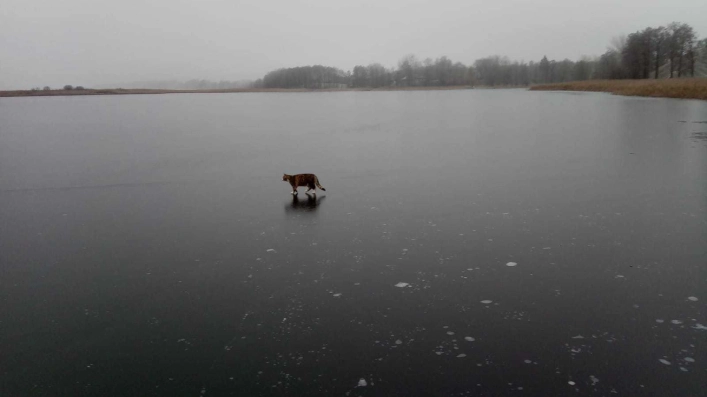 zobacz camping - zdjęcie 32