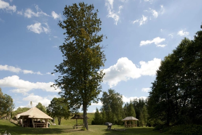 zobacz camping - zdjęcie 23