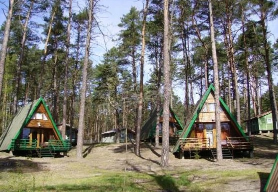 Galeria - zdjęcie 10