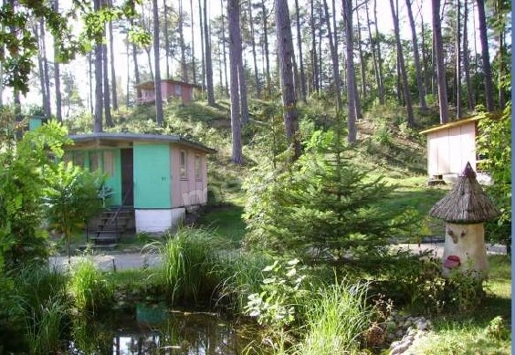 Galeria - zdjęcie 9