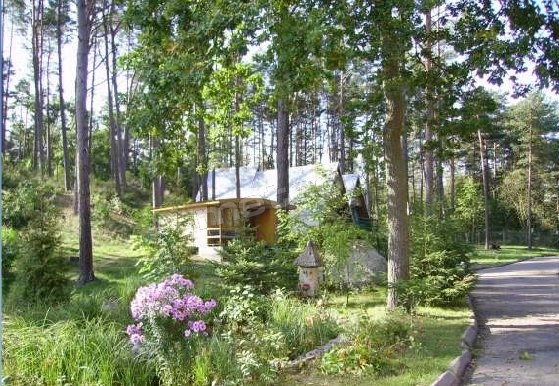 Galeria - zdjęcie 8