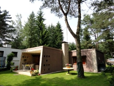 Galeria - zdjęcie 6