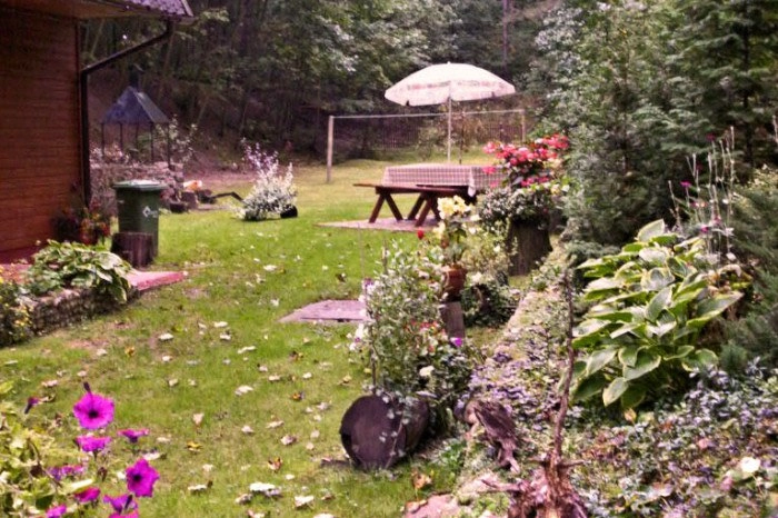 Ośrodek Leśny - zdjęcie 4