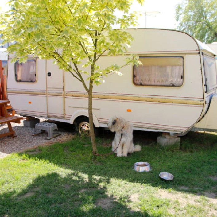 Galeria - zdjęcie 12