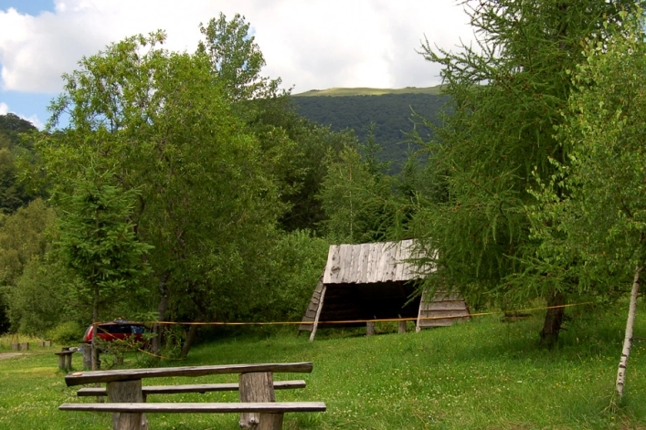 Galeria - zdjęcie 11