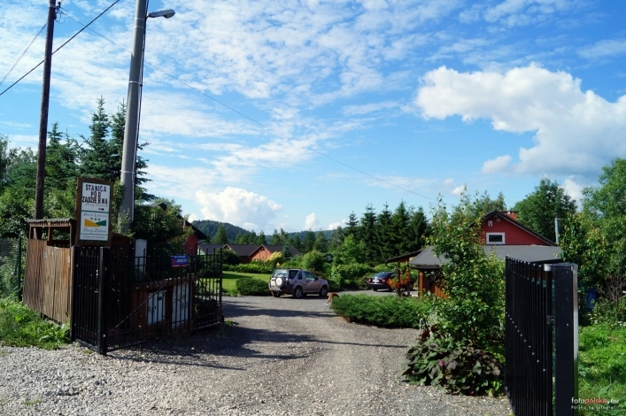 Galeria - zdjęcie 8