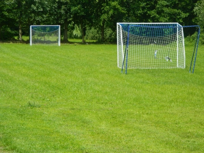 Galeria - zdjęcie 8