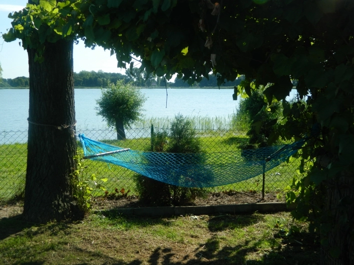 Galeria - zdjęcie 6