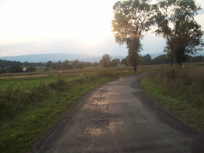 Miejscówka 131 - Marianówka - zdjęcie 5