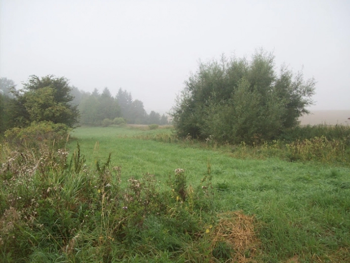 Miejscówka  132 - pole - zdjęcie 7