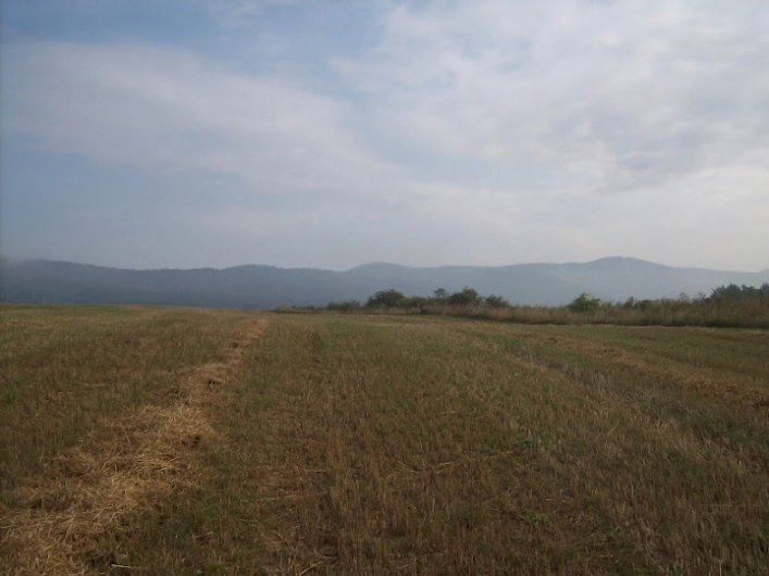 Miejscówka  132 - pole - zdjęcie 5