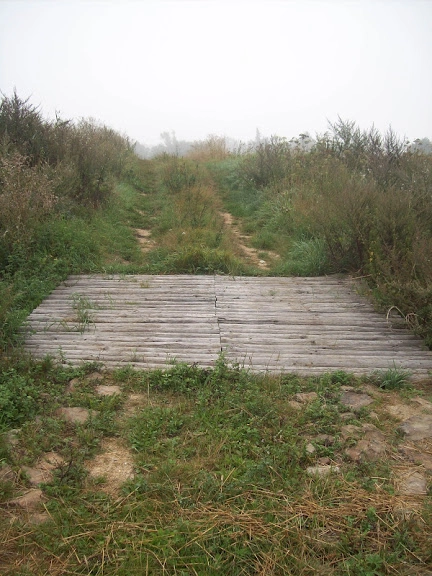 Miejscówka  132 - pole - zdjęcie 2