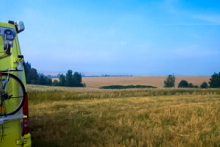 Miejscówka  132 - pole - zdjęcie 0