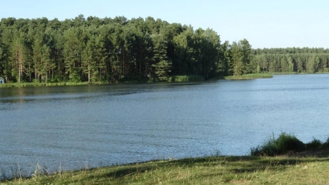 Miejscówka 133 - Jezioro Koronowskie - zdjęcie 4