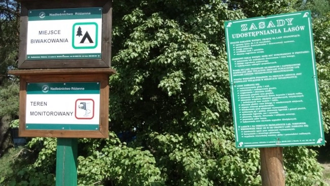 Miejscówka 133 - Jezioro Koronowskie - zdjęcie 3