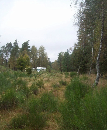 Miejscówka 134 - Czarna Dąbrowa - zdjęcie 8