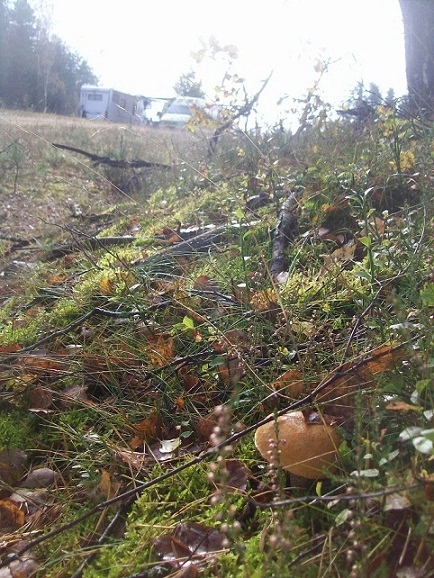 Miejscówka 134 - Czarna Dąbrowa - zdjęcie 5