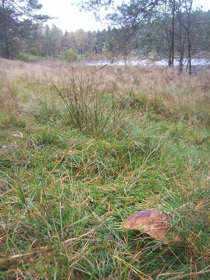 Miejscówka 134 - Czarna Dąbrowa - zdjęcie 4