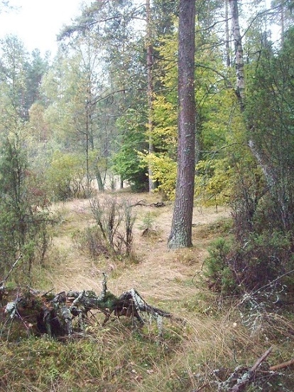 Miejscówka 134 - Czarna Dąbrowa - zdjęcie 2