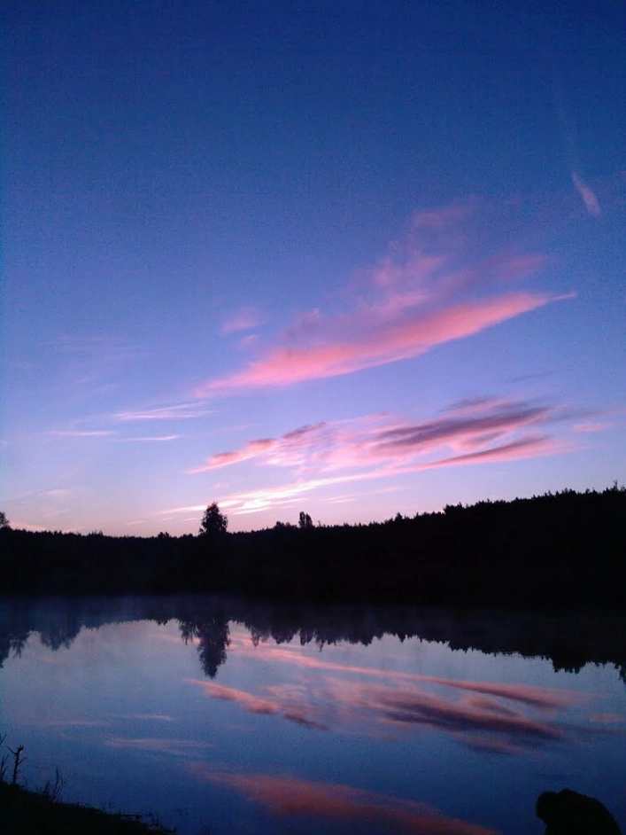 Miejscówka 135 - Lubicz Górny - okolice - zdjęcie 3