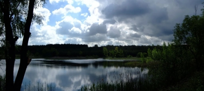 Miejscówka 135 - Lubicz Górny - okolice - zdjęcie 2