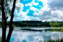 Miejscówka 135 - Lubicz Górny - okolice - zdjęcie 0