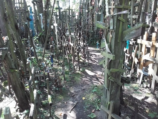 Miejscówka 149 - Grabarka - zdjęcie 5