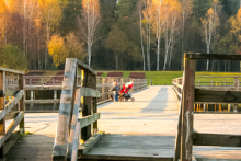 Miejscówka 151 - zalew Czapielówka - zdjęcie 0