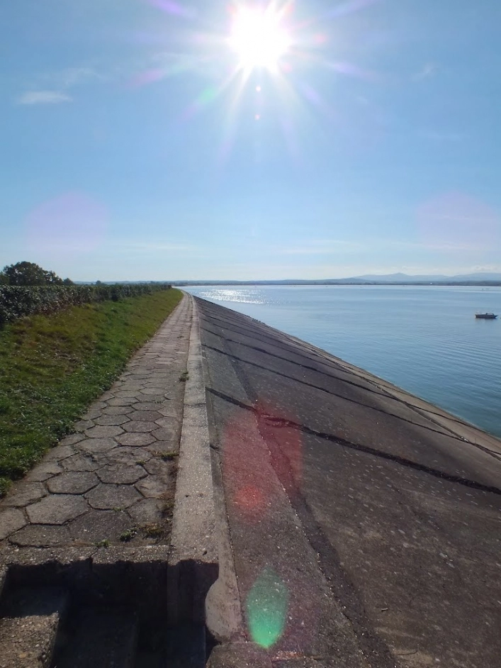 Miejscówka 152 - Skorochów - zdjęcie 4