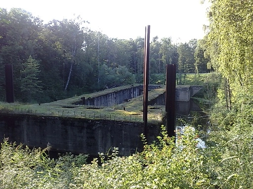 Miejscówka 155 - Kaczory - zdjęcie 2