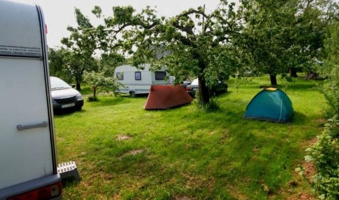 Galeria - zdjęcie 7