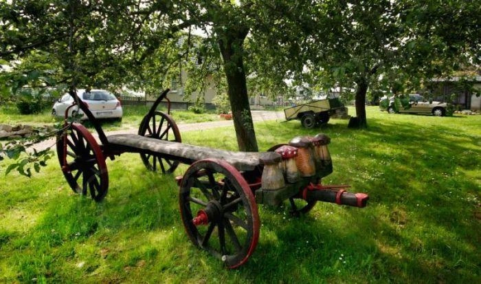 Galeria - zdjęcie 5