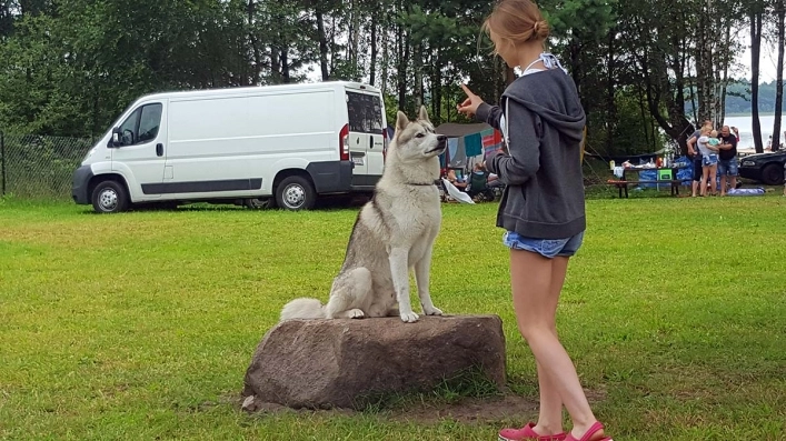 Pole Namiotowe Barbados - zdjęcie 3