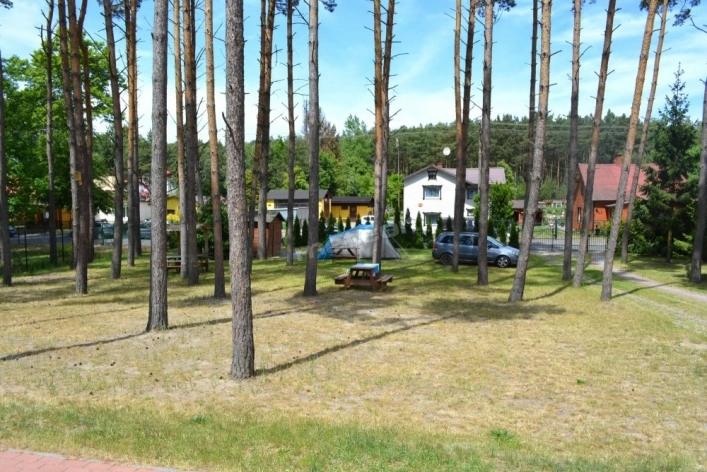 Galeria - zdjęcie 3