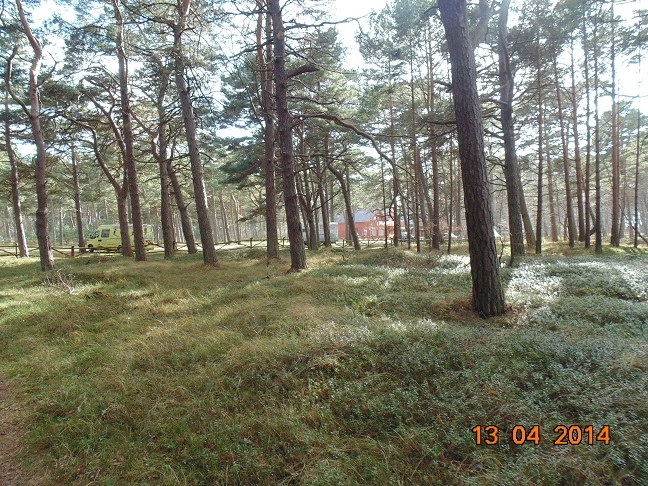 Miejscówka 167 - Lubiatowo - zdjęcie 11