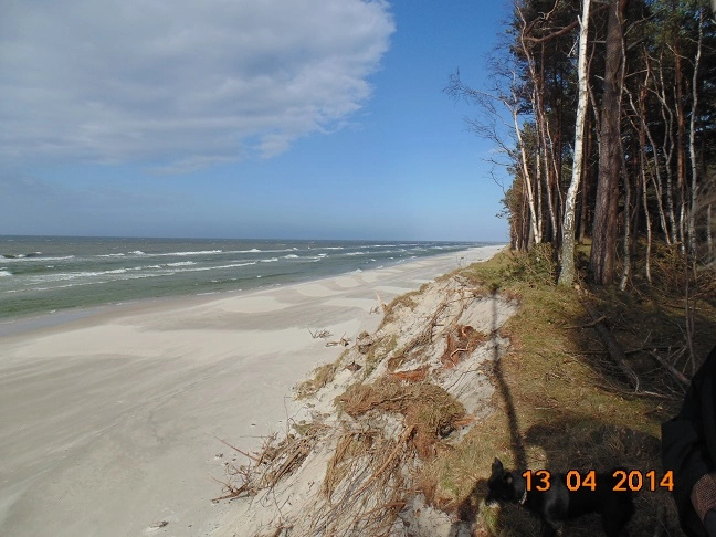 Miejscówka 167 - Lubiatowo - zdjęcie 4