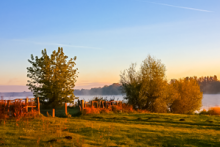 Miejscówka 168 - Ciechocinek - zdjęcie 0