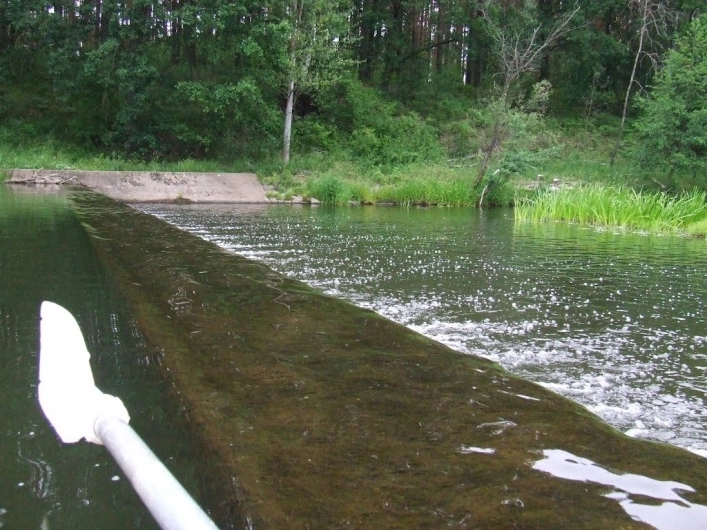 Miejscówka 169 - Chromów - zdjęcie 2